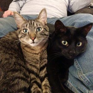 Meet your Posher, Bobbi